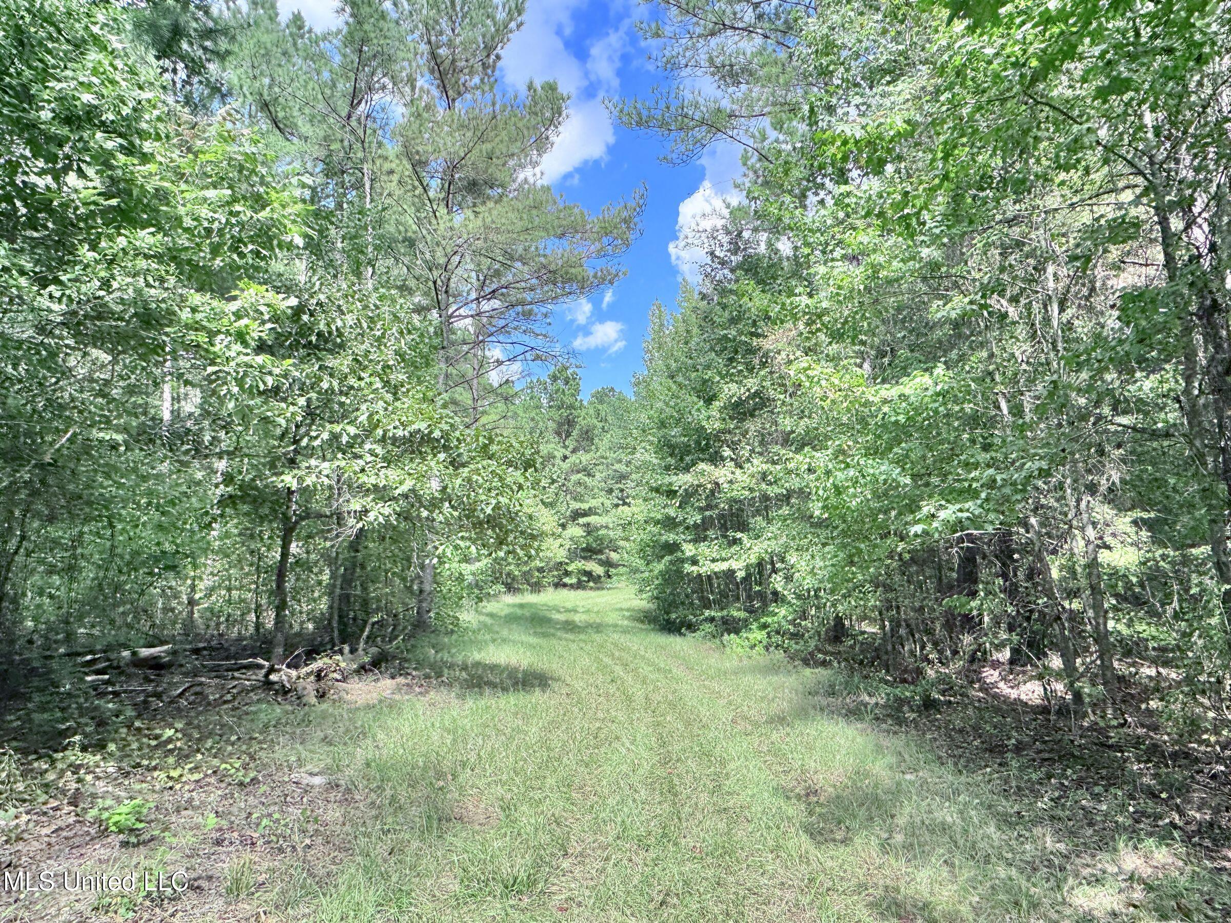 2378 John Warren Road Bolton, MS 39041 - Photo 35 of 153 5hinds5