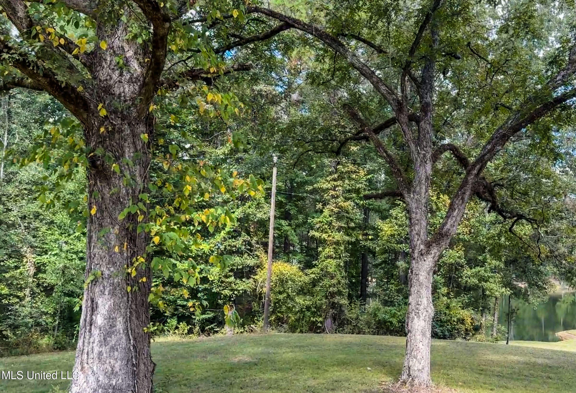 2378 John Warren Road Bolton, MS 39041 - Photo 36 of 153 5hinds6a