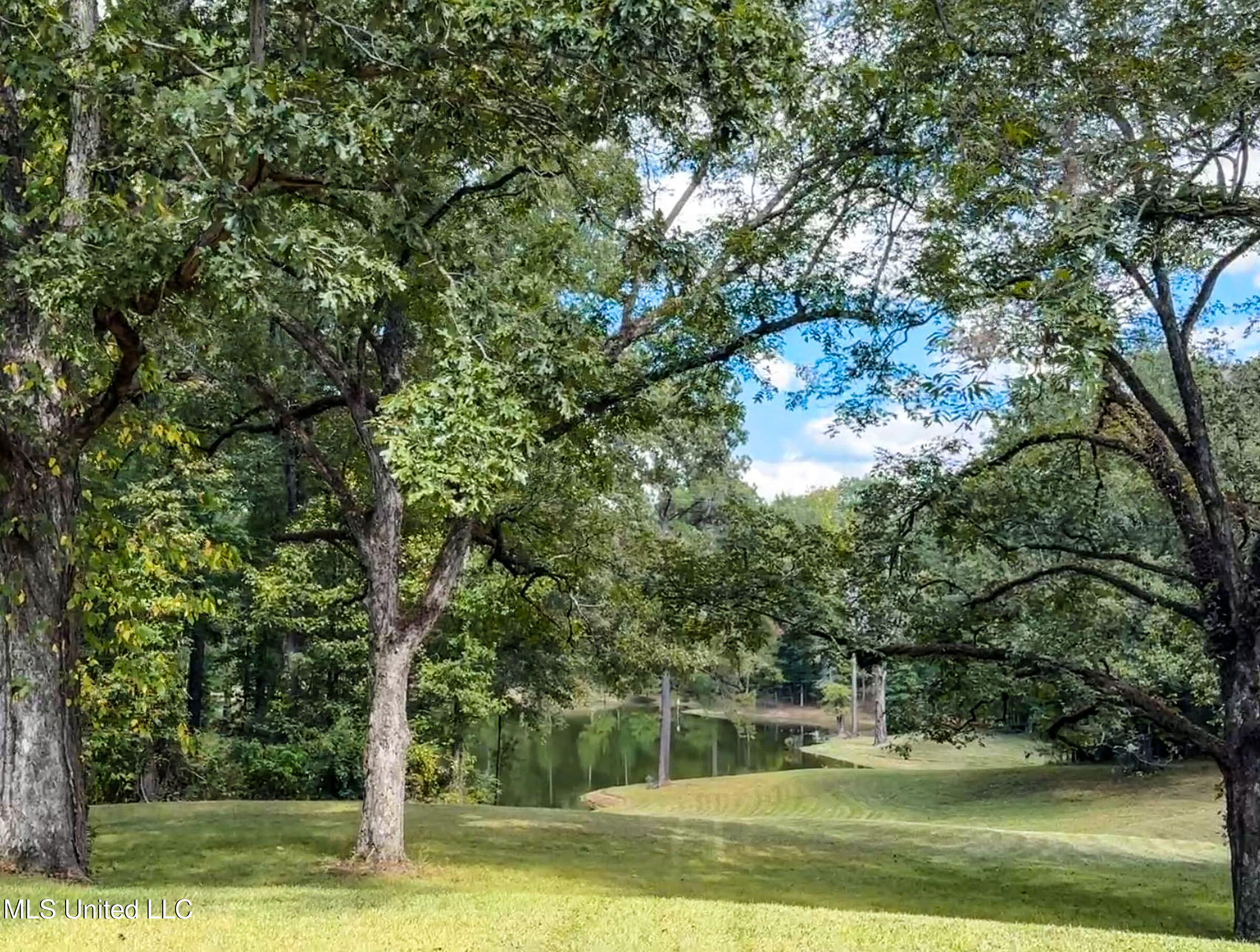 2378 John Warren Road Bolton, MS 39041 - Photo 37 of 153 5hinds6b