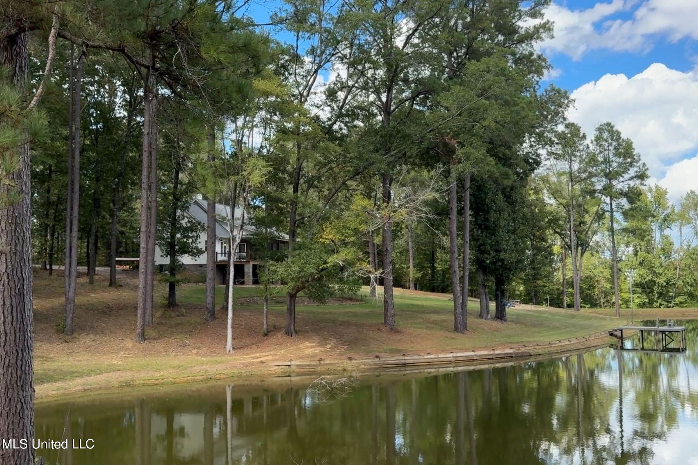 2378 John Warren Road Bolton, MS 39041 - Photo 40 of 153 5hinds12b