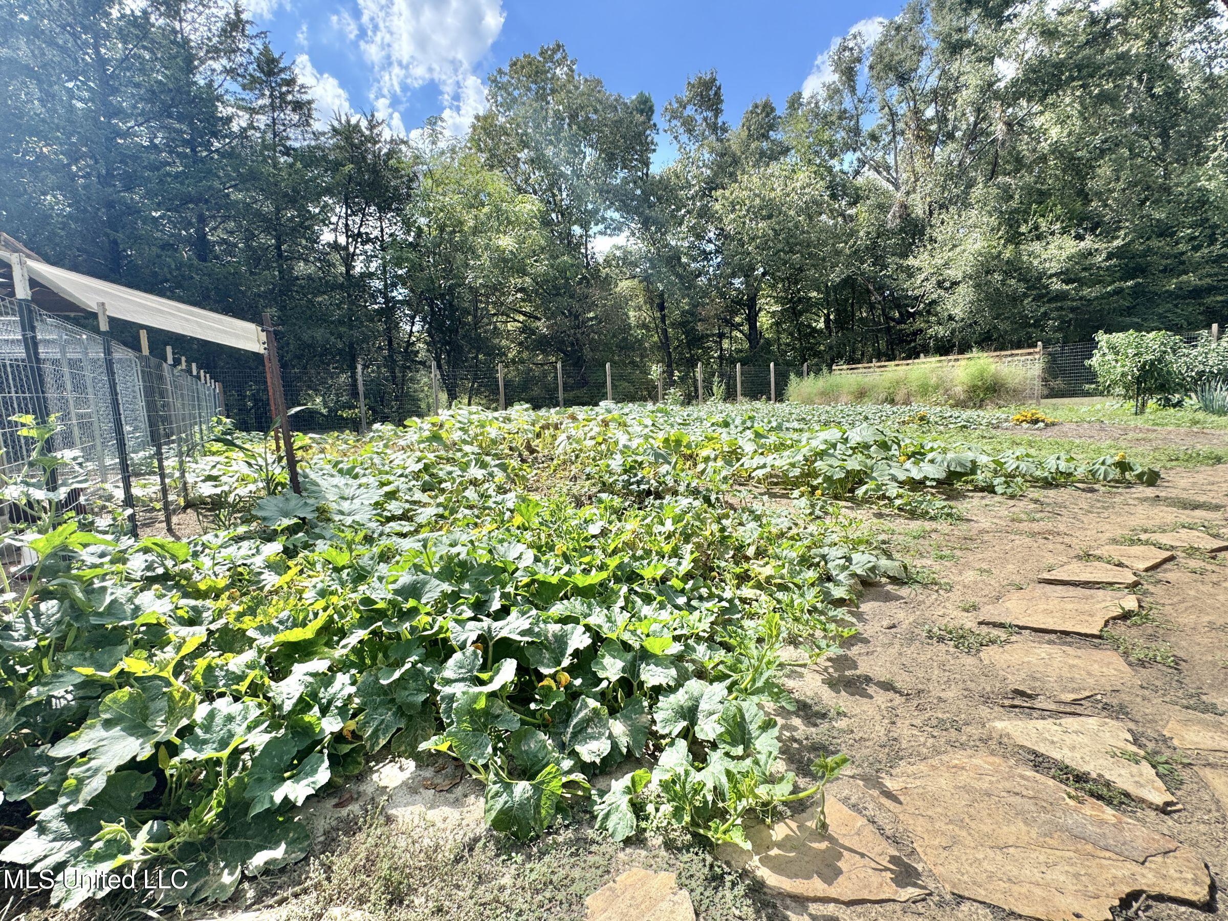 2378 John Warren Road Bolton, MS 39041 - Photo 45 of 153 5hinds21
