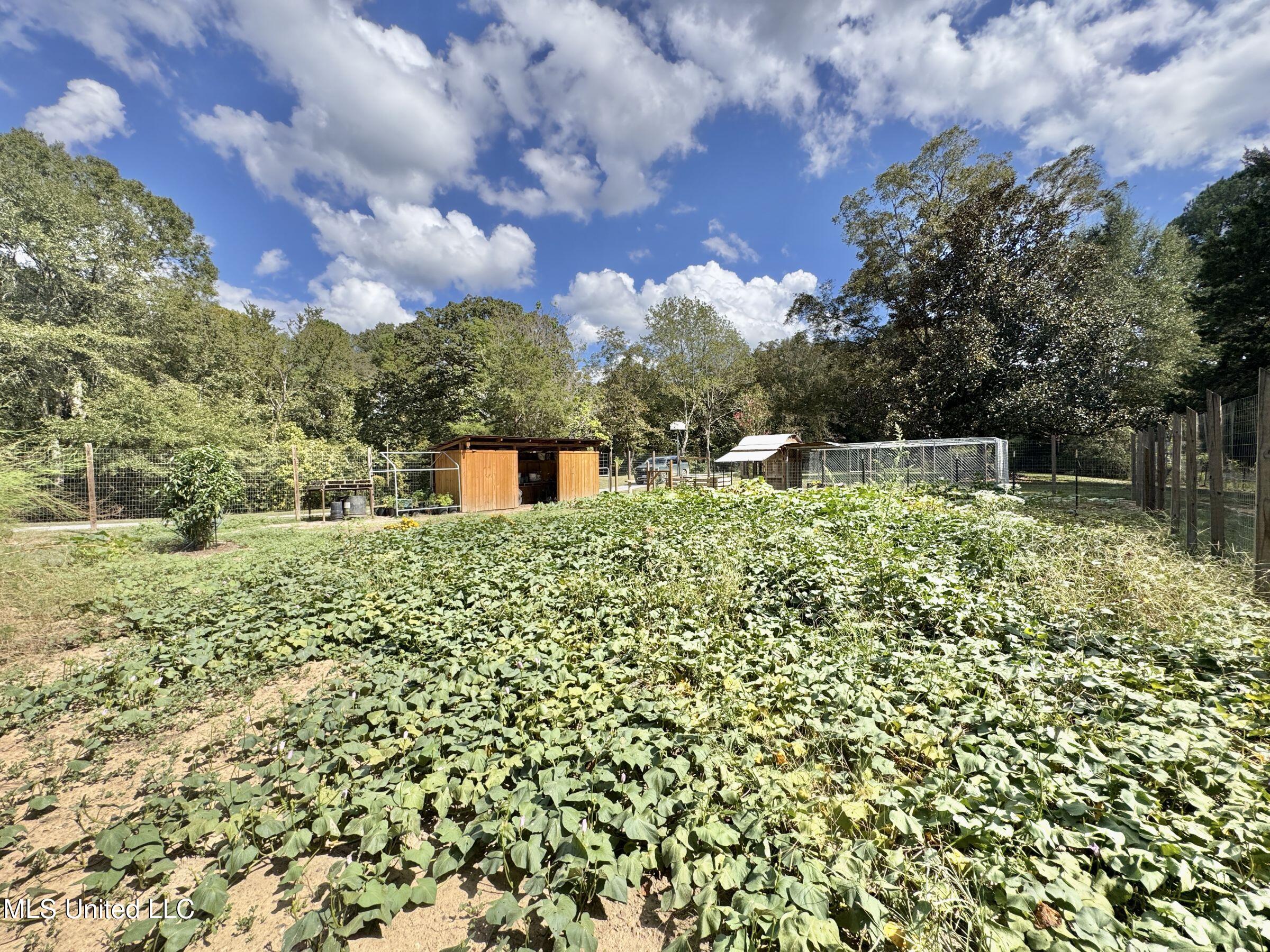 2378 John Warren Road Bolton, MS 39041 - Photo 47 of 153 5hinds28