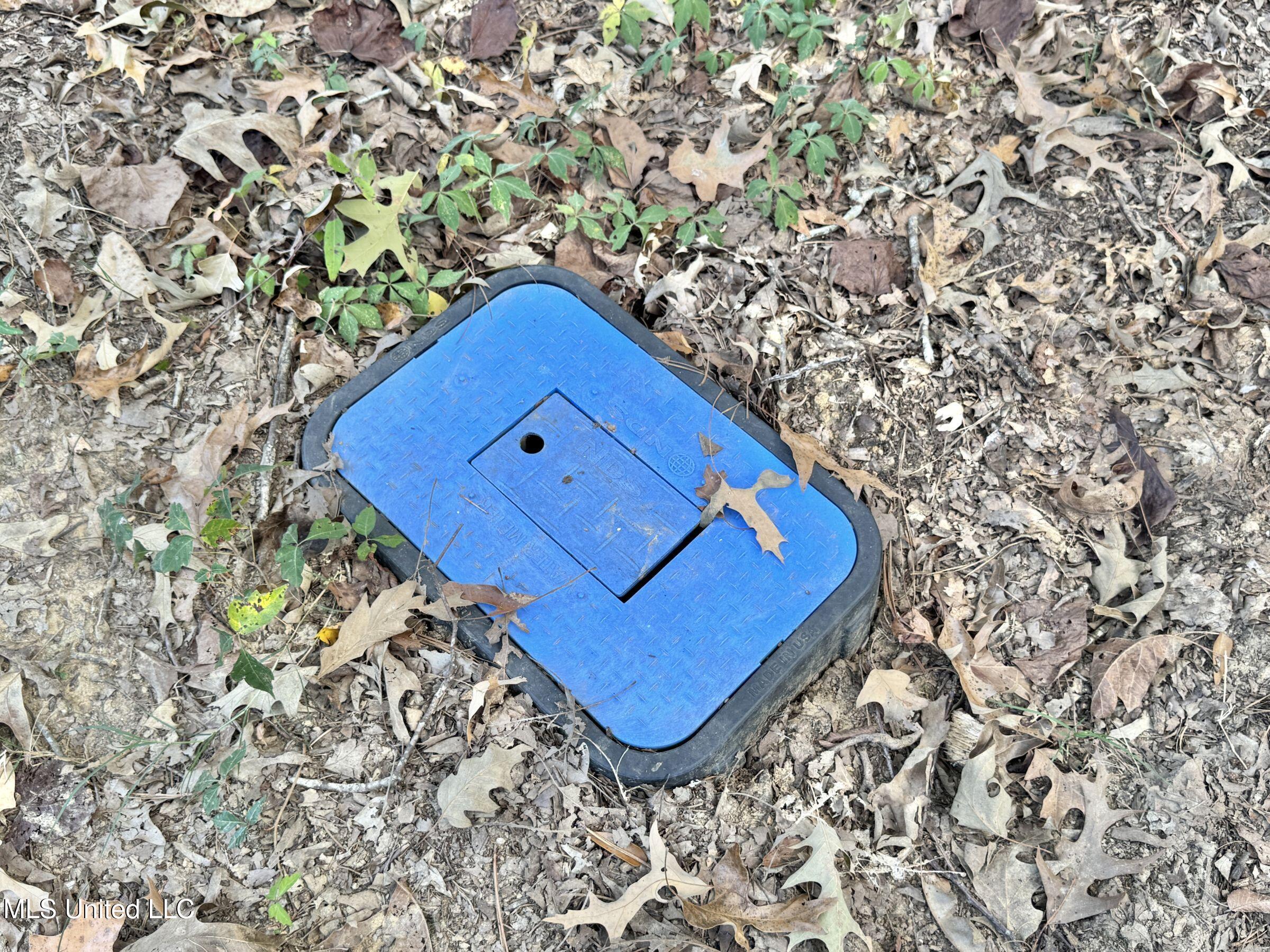 2378 John Warren Road Bolton, MS 39041 - Photo 57 of 153 5hinds44