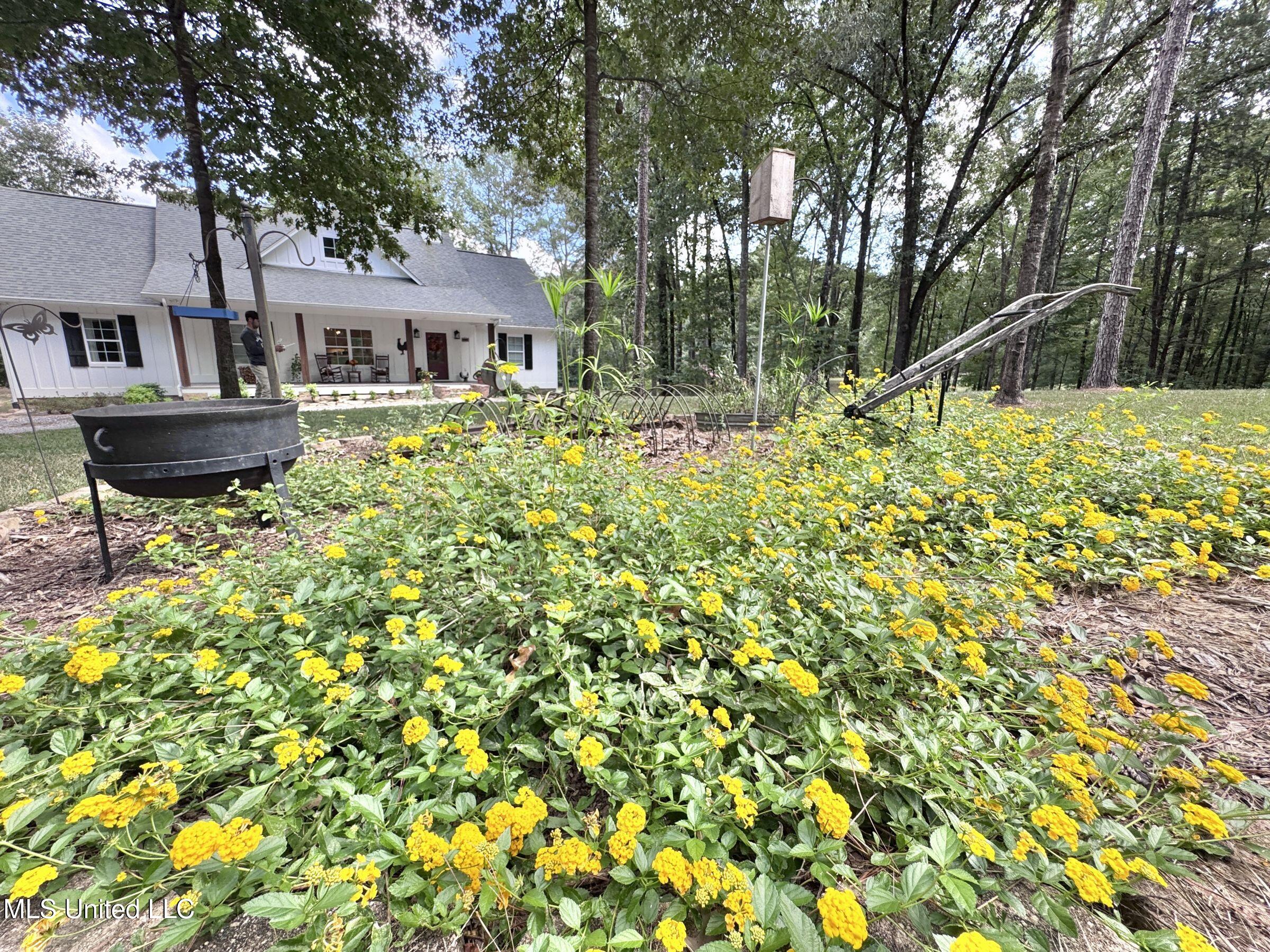 2378 John Warren Road Bolton, MS 39041 - Photo 59 of 153 5hinds47