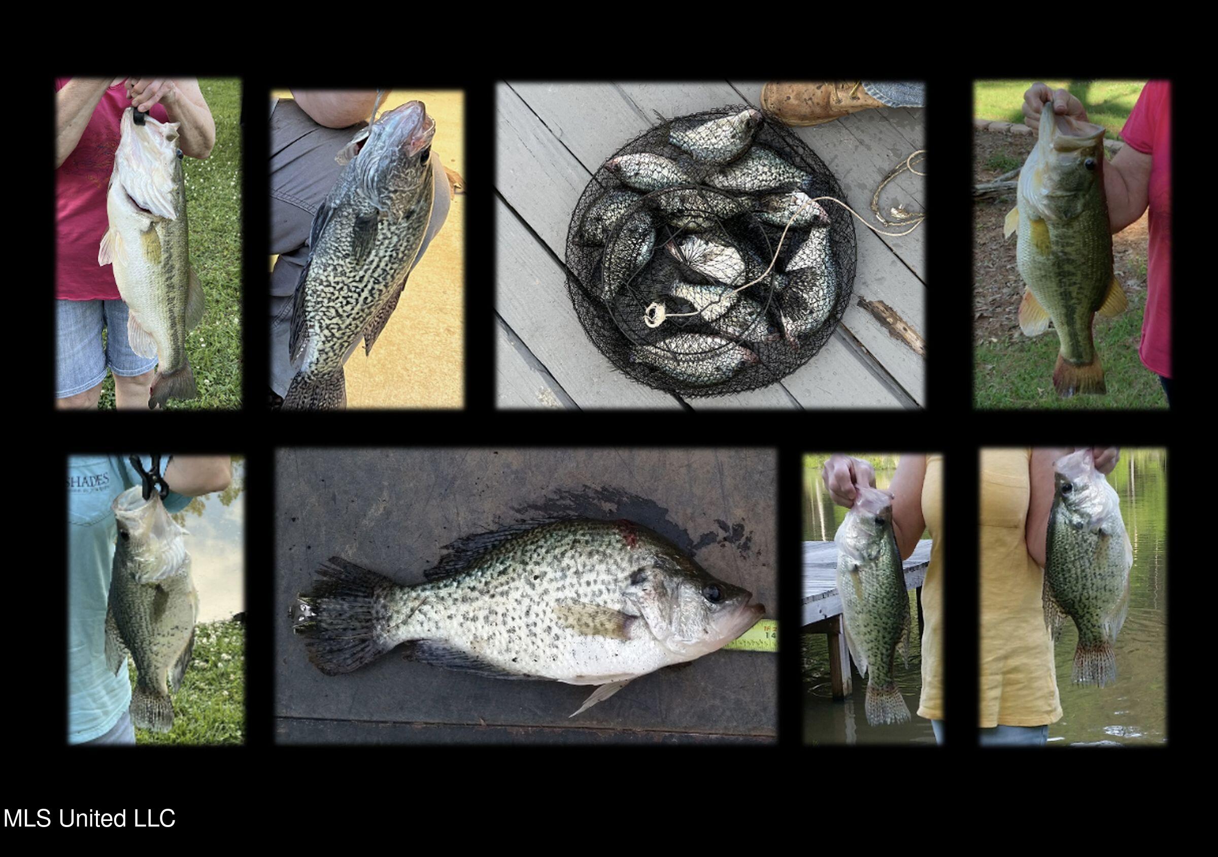 2378 John Warren Road Bolton, MS 39041 - Photo 6 of 153 hinds-fish1