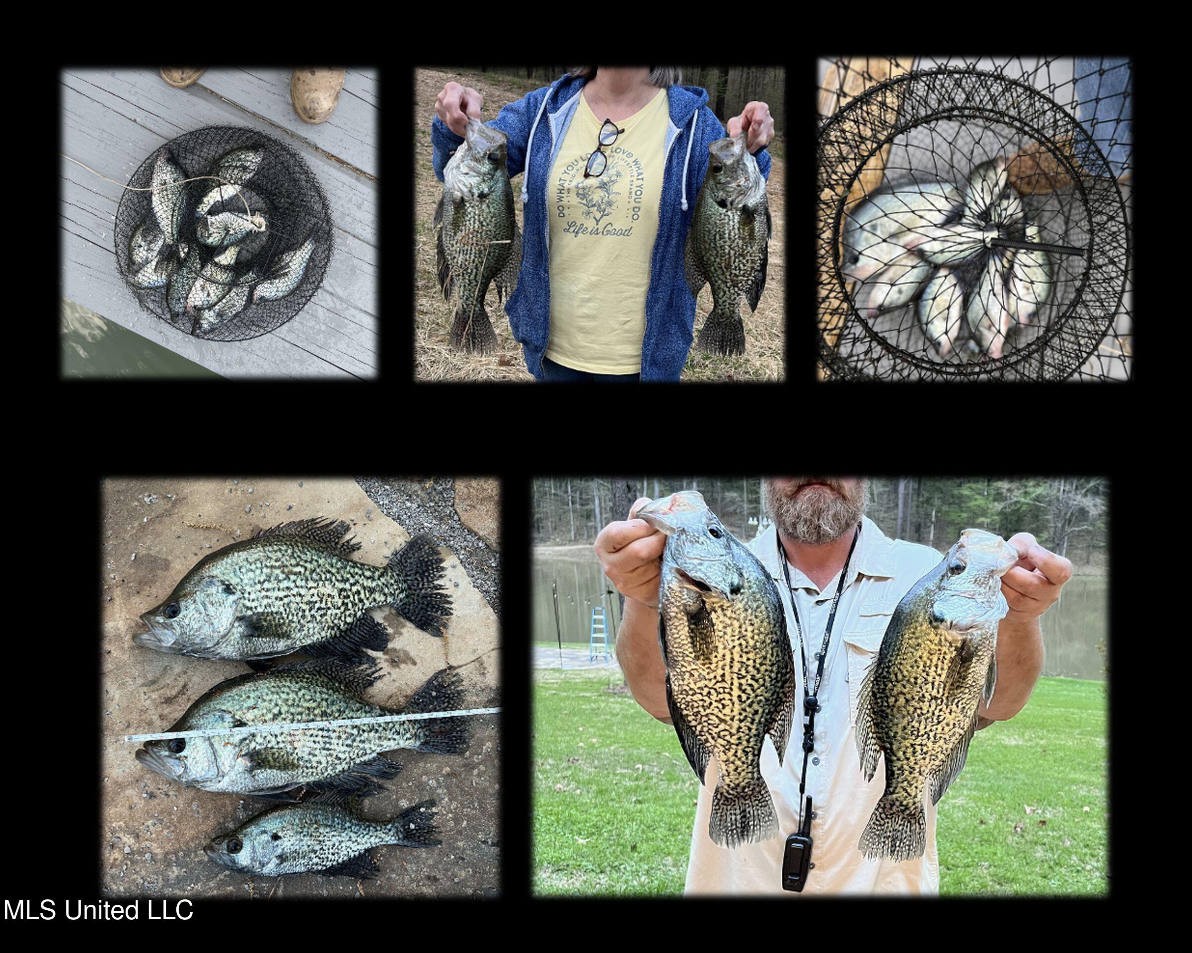 2378 John Warren Road Bolton, MS 39041 - Photo 7 of 153 hinds-fish2