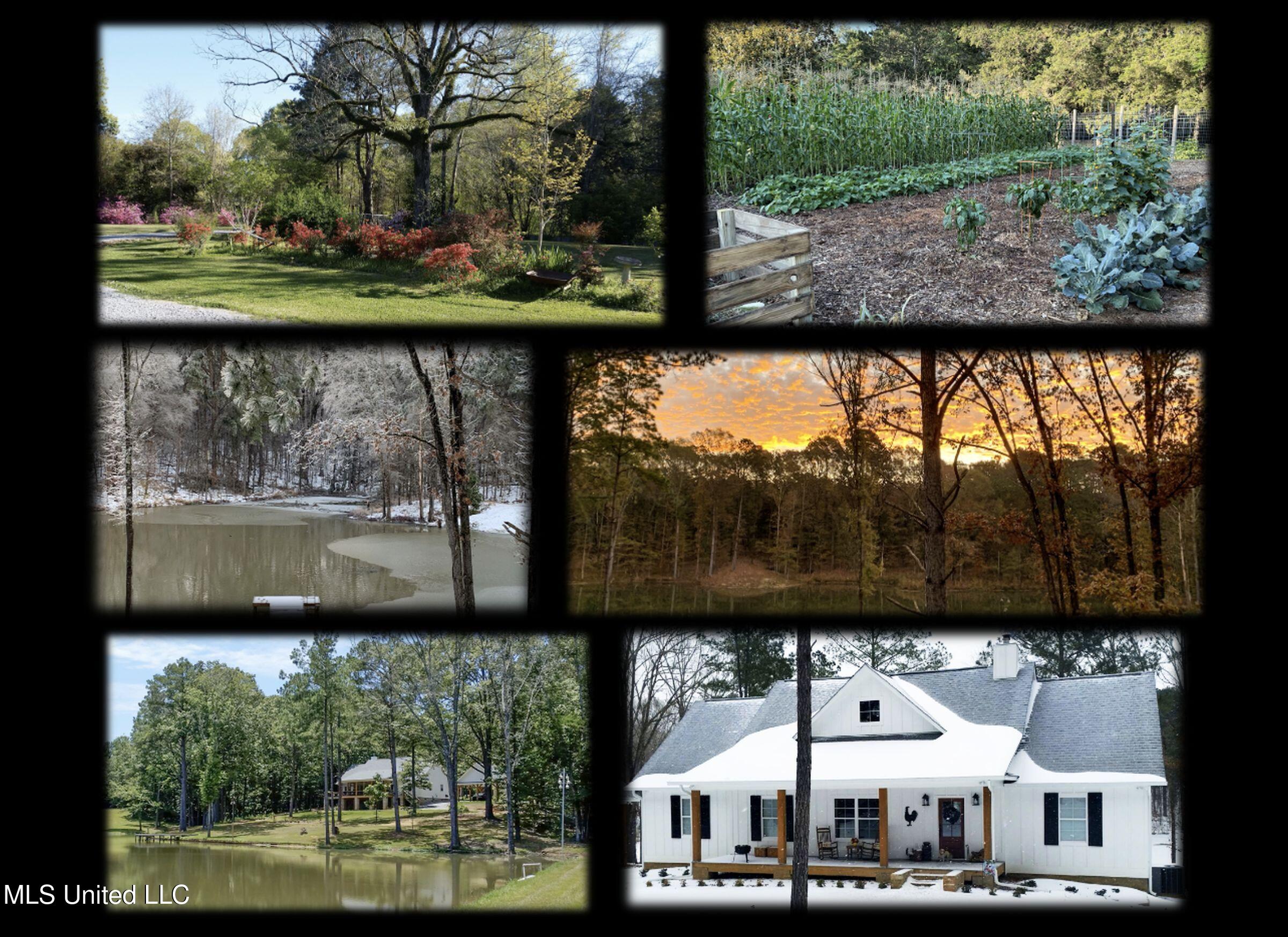 2378 John Warren Road Bolton, MS 39041 - Photo 8 of 153 seasons in bolton