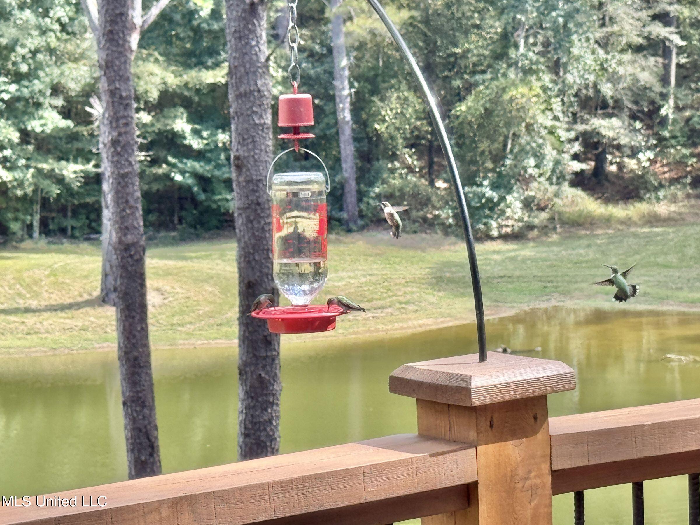 2378 John Warren Road Bolton, MS 39041 - Photo 85 of 153 5hinds84