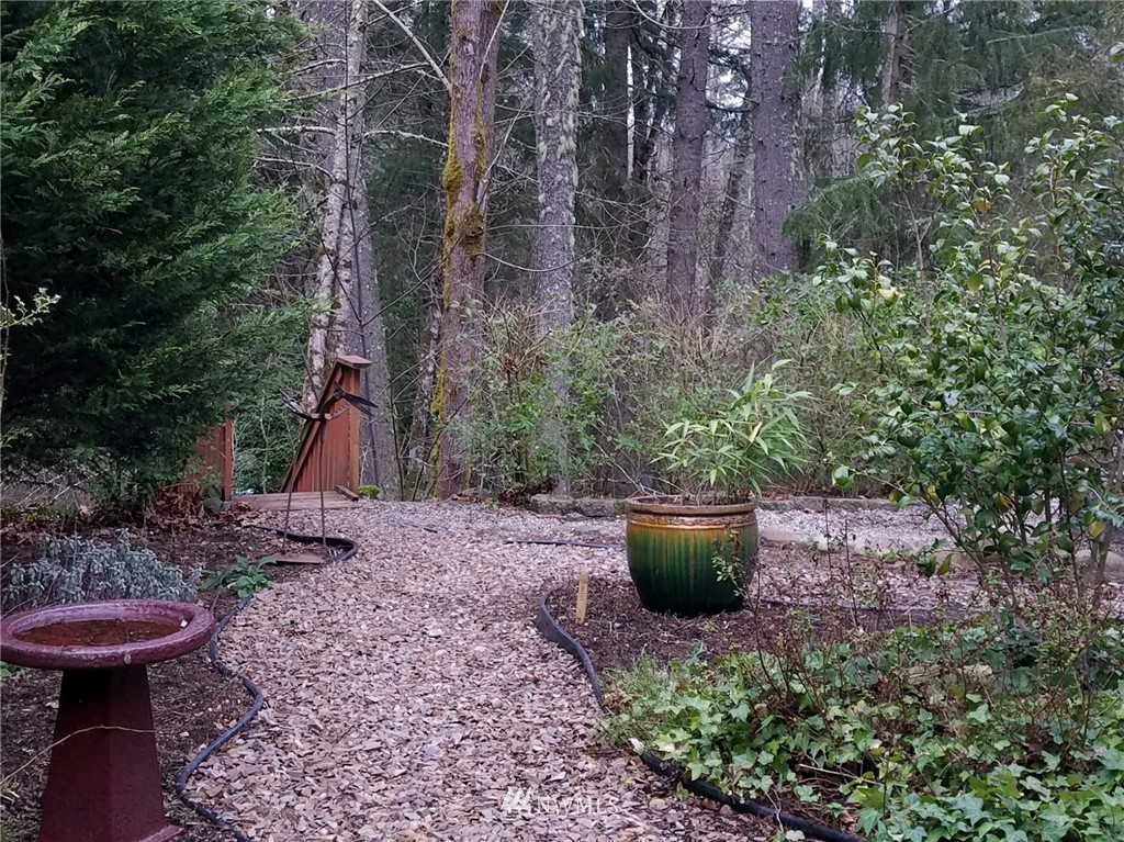 15526 Vail Cut Off Road Southeast Rainier, WA 98576 - Photo 5 of 21 Gallery Image 5