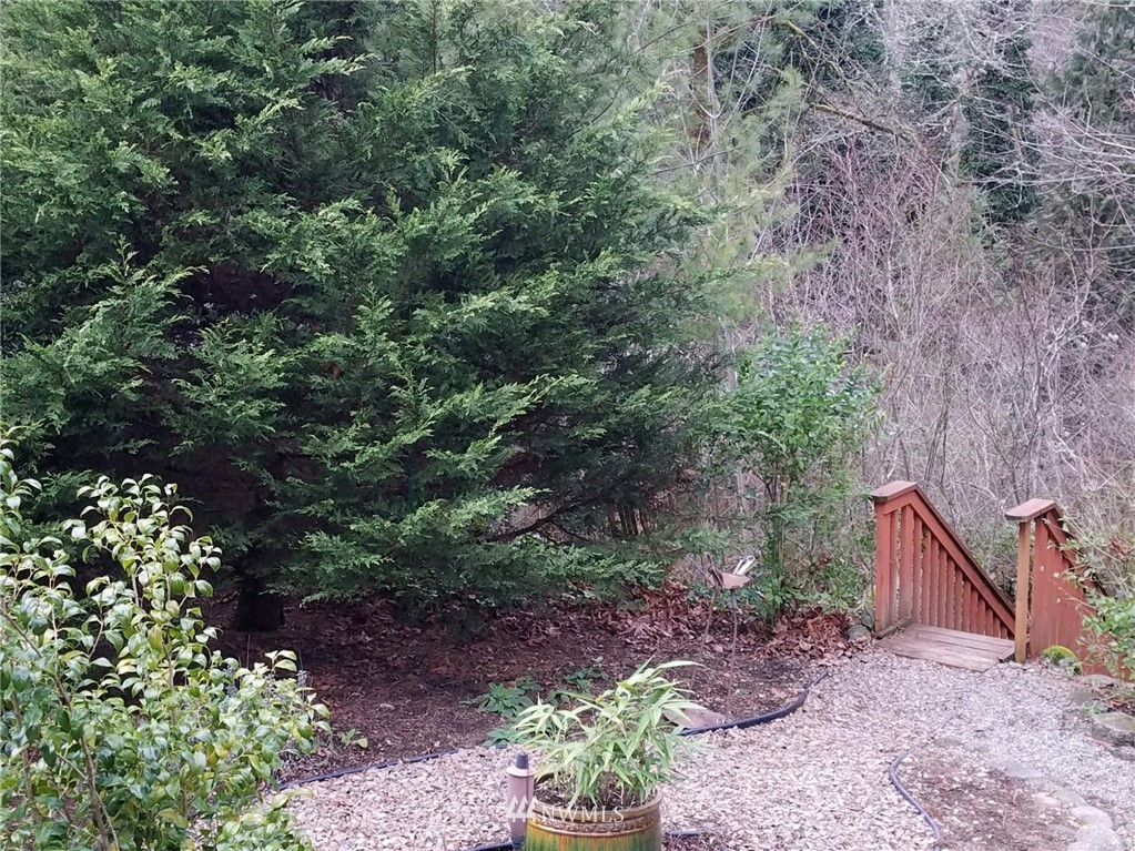 15526 Vail Cut Off Road Southeast Rainier, WA 98576 - Photo 7 of 21 Gallery Image 7