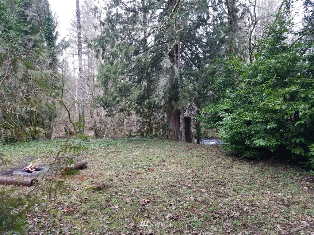 15526 Vail Cut Off Road Southeast Rainier, WA 98576 - Photo 8 of 21 Gallery Image 8