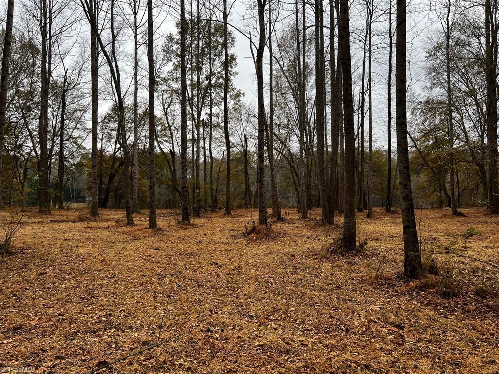 155 A Lookout Dam Road Statesville, NC 28625 - Photo 20 of 26