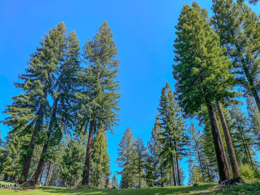 13740 Peregrine Road Boonville, CA 95415 - Photo 11 of 49 IMG_2701