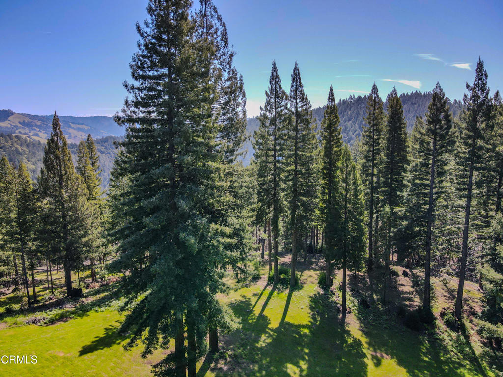 13740 Peregrine Road Boonville, CA 95415 - Photo 24 of 49 dji_fly_20250422_110332_148_174534503237