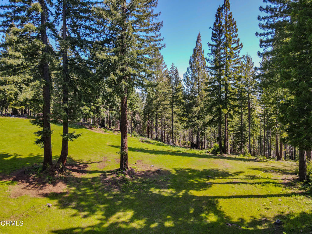 13740 Peregrine Road Boonville, CA 95415 - Photo 26 of 49 dji_fly_20250422_110420_151_174534507673