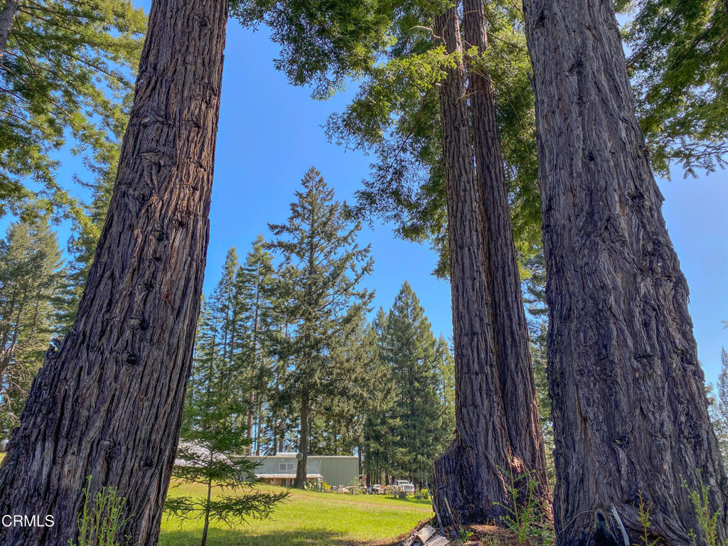 13740 Peregrine Road Boonville, CA 95415 - Photo 29 of 49 IMG_2640