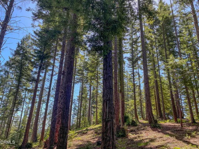 $995,000 | 13740 Peregrine Road, Boonville, CA 95415