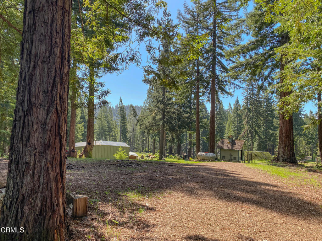 13740 Peregrine Road Boonville, CA 95415 - Photo 44 of 49 IMG_2632