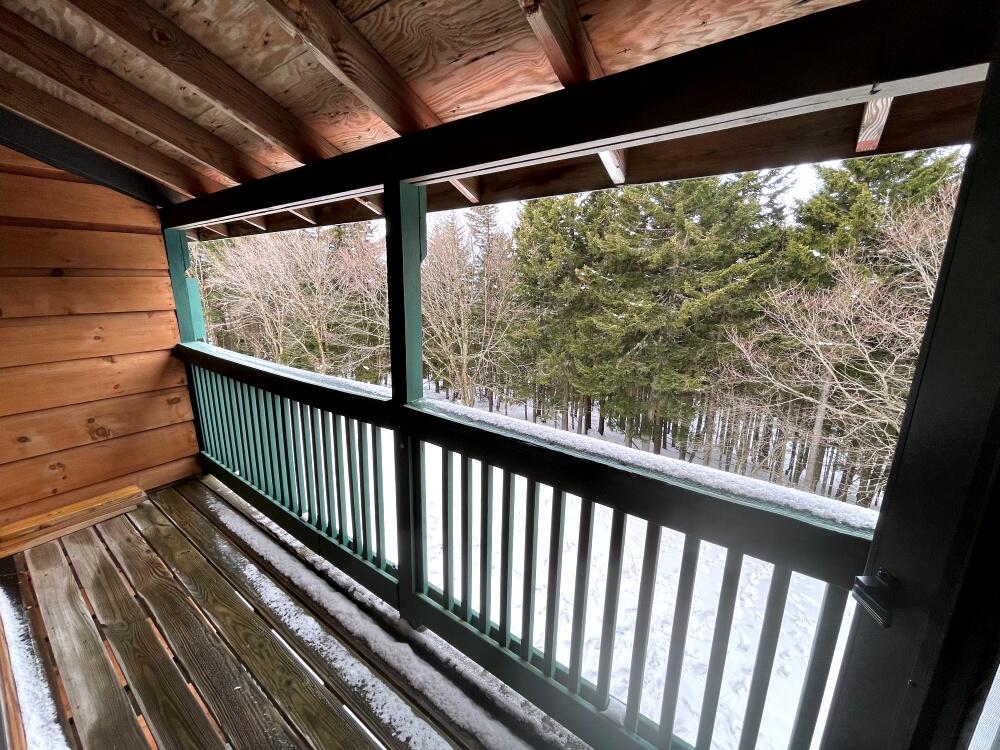 59 Ridgewood Street Snowshoe, WV 26209 - Photo 14 of 20 Gallery Image 14