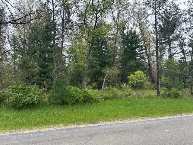 $16,900 | 0 South Forman Road, Idlewild, MI 49642