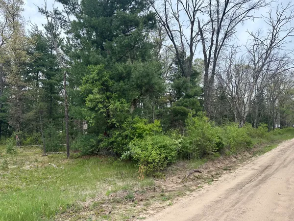 $14,000 | 0 South Forman Road, Idlewild, MI 49642