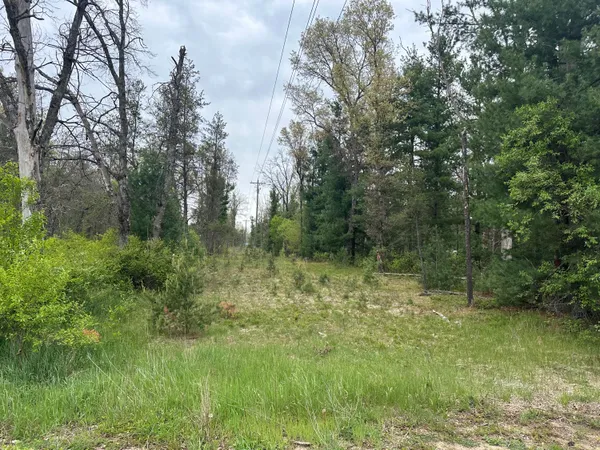 $14,000 | 0 South Forman Road, Idlewild, MI 49642