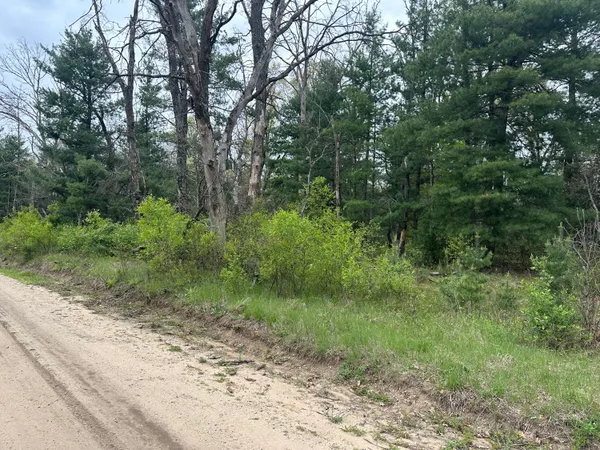 $14,000 | 0 South Forman Road, Idlewild, MI 49642