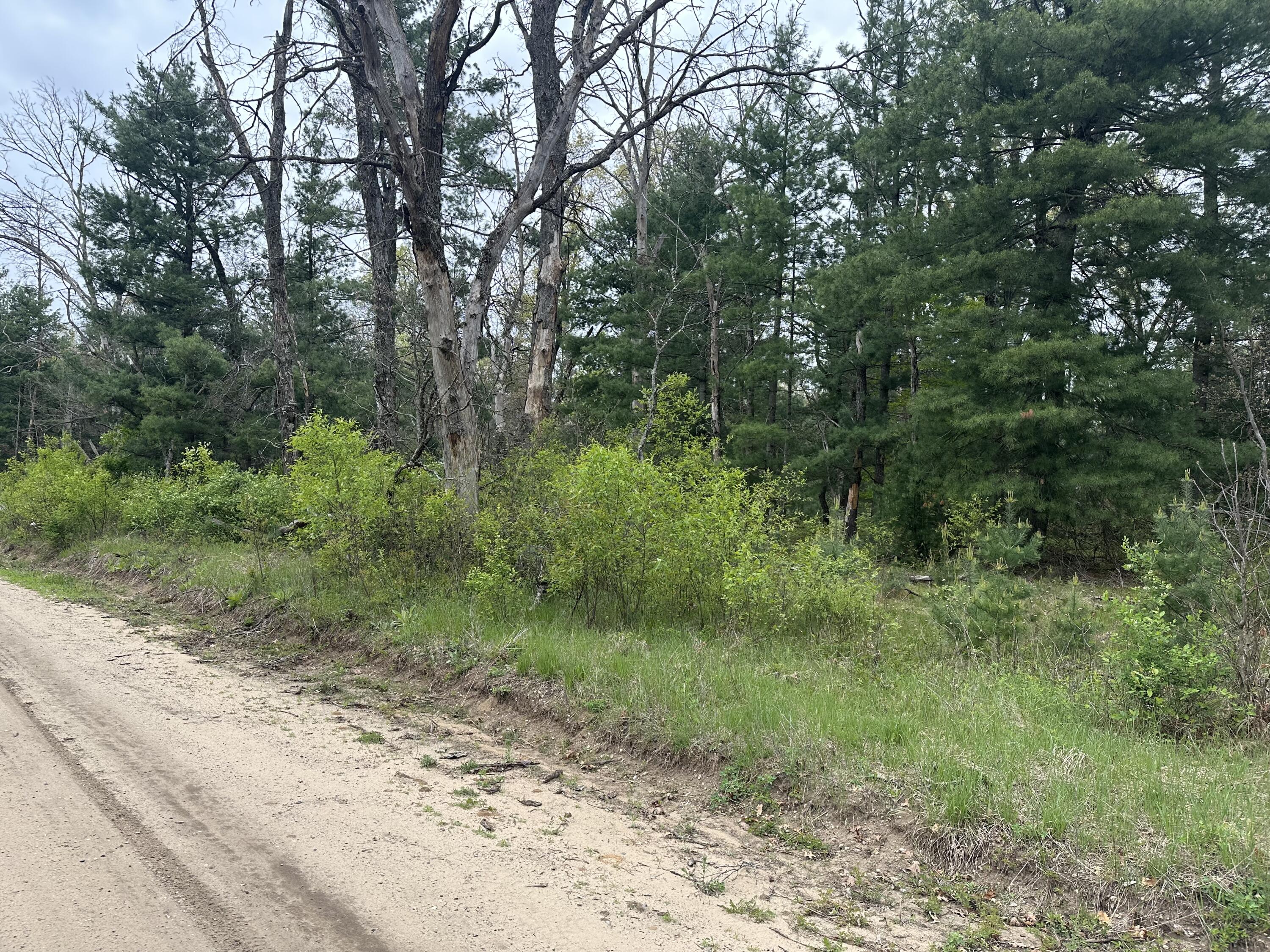 0 South Forman Road Idlewild, MI 49642 - Photo 5 of 9 IMG_6473