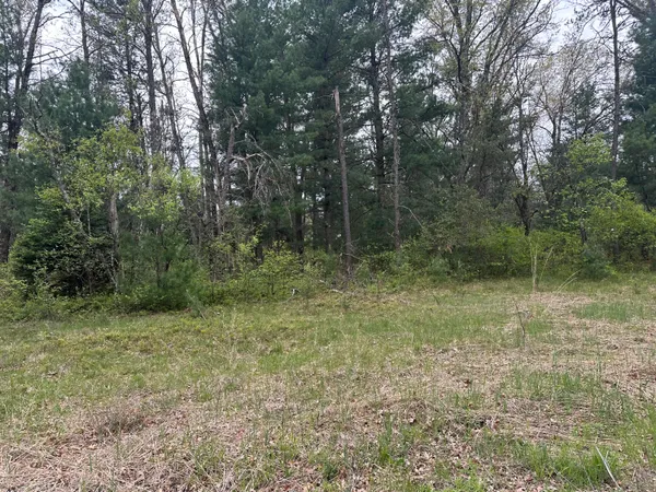 $14,000 | 0 South Forman Road, Idlewild, MI 49642