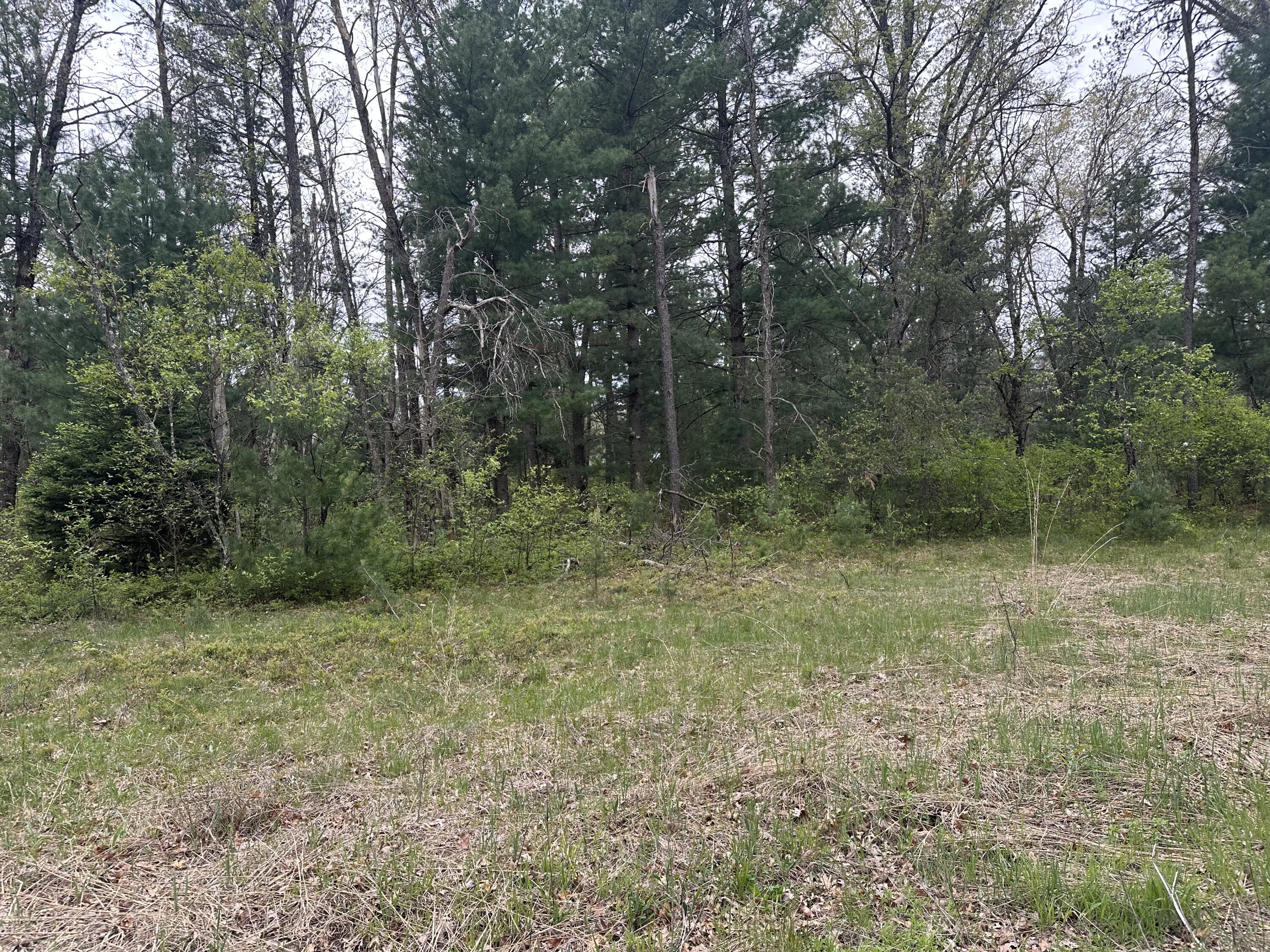 0 South Forman Road Idlewild, MI 49642 - Photo 6 of 9 IMG_6474