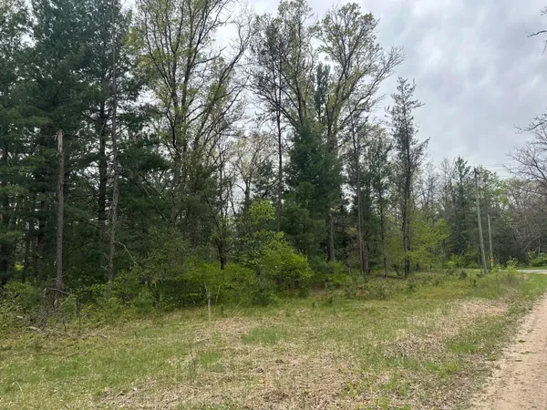 $14,000 | 0 South Forman Road, Idlewild, MI 49642