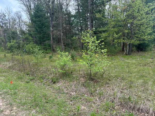 $14,000 | 0 South Forman Road, Idlewild, MI 49642