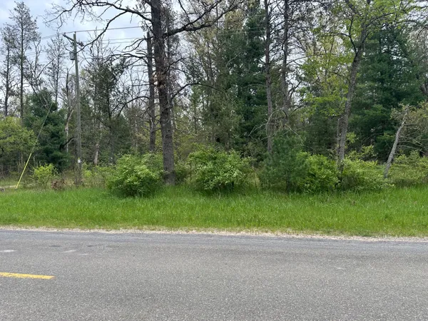 $14,000 | 0 South Forman Road, Idlewild, MI 49642
