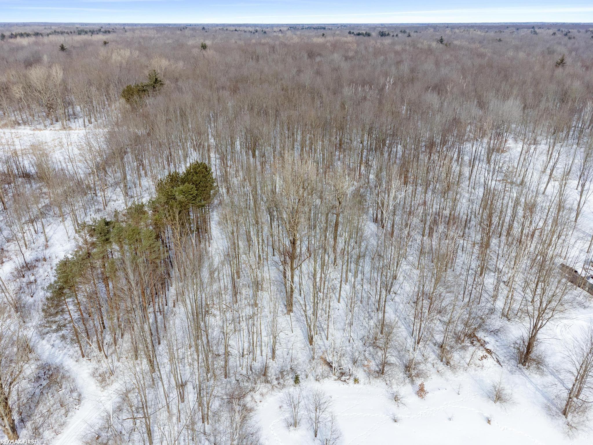 6776 Ravenswood Road Smiths Creek, MI 48074 - Photo 55 of 61