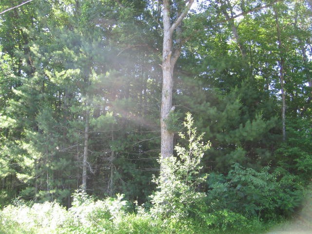 0 Greenwood Road Prescott, MI 48756 - Photo 2 of 5 Gallery Image 2