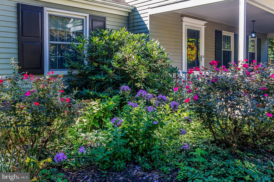 700 Fawn Road Newark, DE 19711 - Photo 5 of 38 beautiful flowers and vegetation