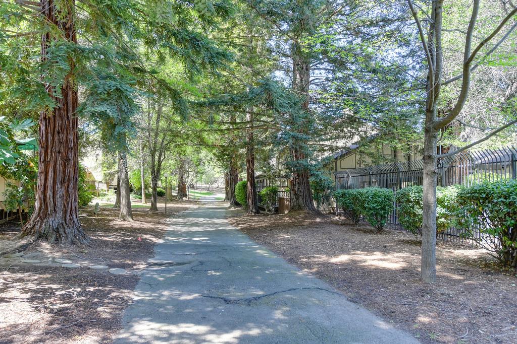 7059 Lompoc Court Citrus Heights, CA 95621 - Photo 48 of 53 a view of a backyard with large trees