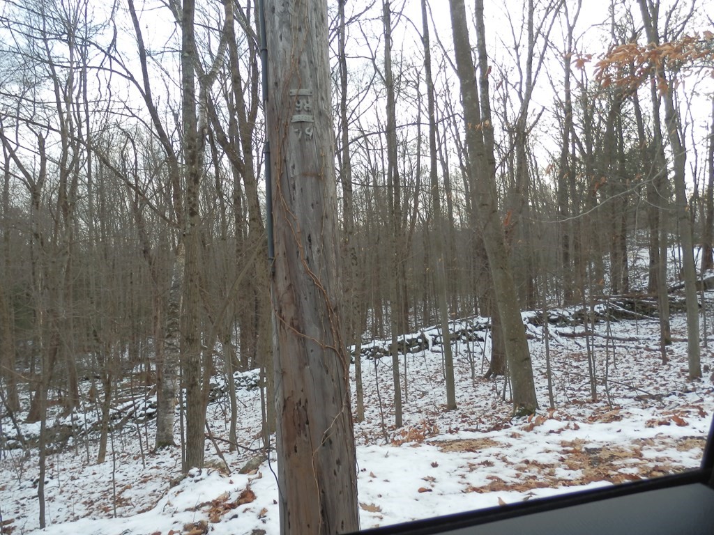 Lot 1 Queen Lake Road Templeton, MA 01468 - Photo 4 of 5 Gallery Image 4