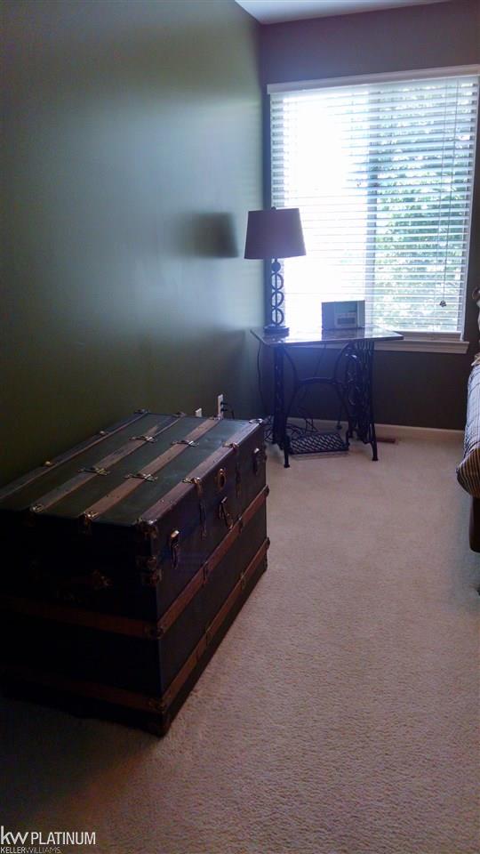 50564 Maurice Road New Baltimore, MI 48047 - Photo 33 of 46 2nd Bedroom