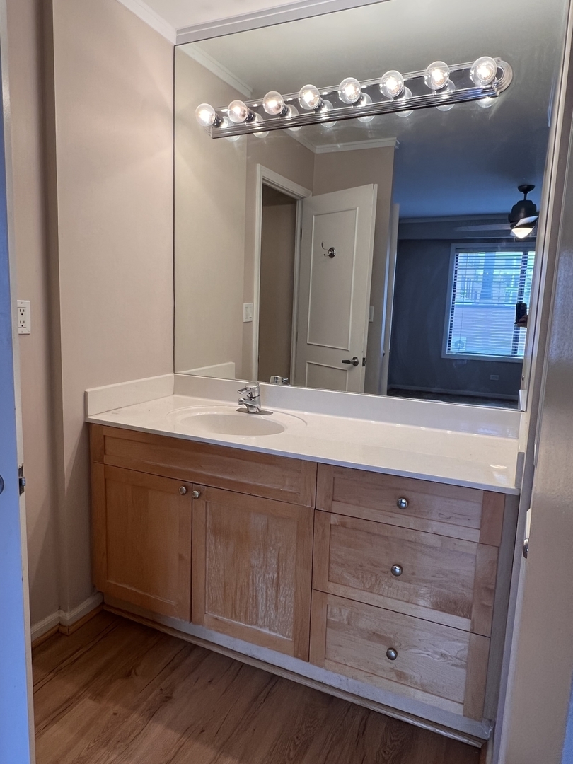 6102 North Sheridan Road, Unit 201 Chicago, IL 60660 - Photo 10 of 15 a bathroom with a sink double vanity and a mirror