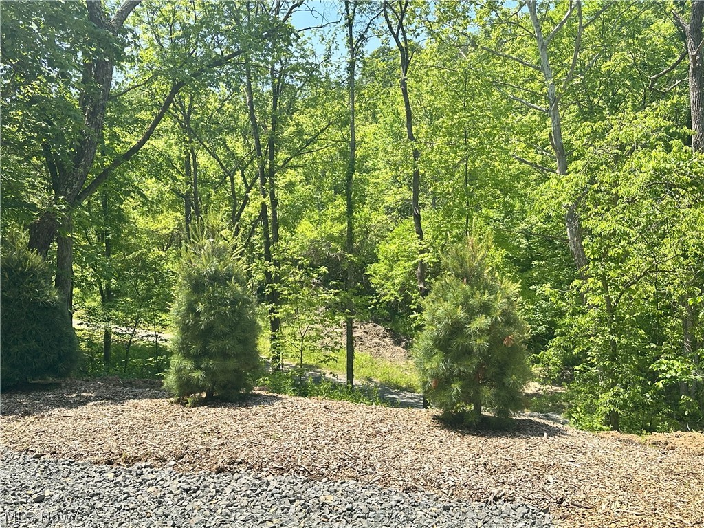 Morton Hill Road Lower Salem, OH 45745 - Photo 11 of 41