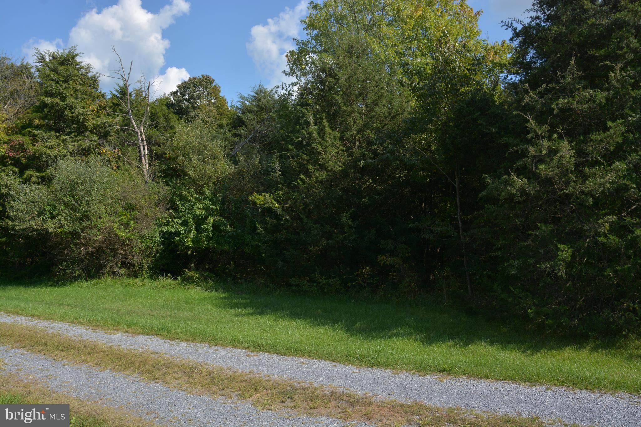 25-acres Blue Ridge Lane White Post, VA 22663 - Photo 16 of 21 Gallery Image 16