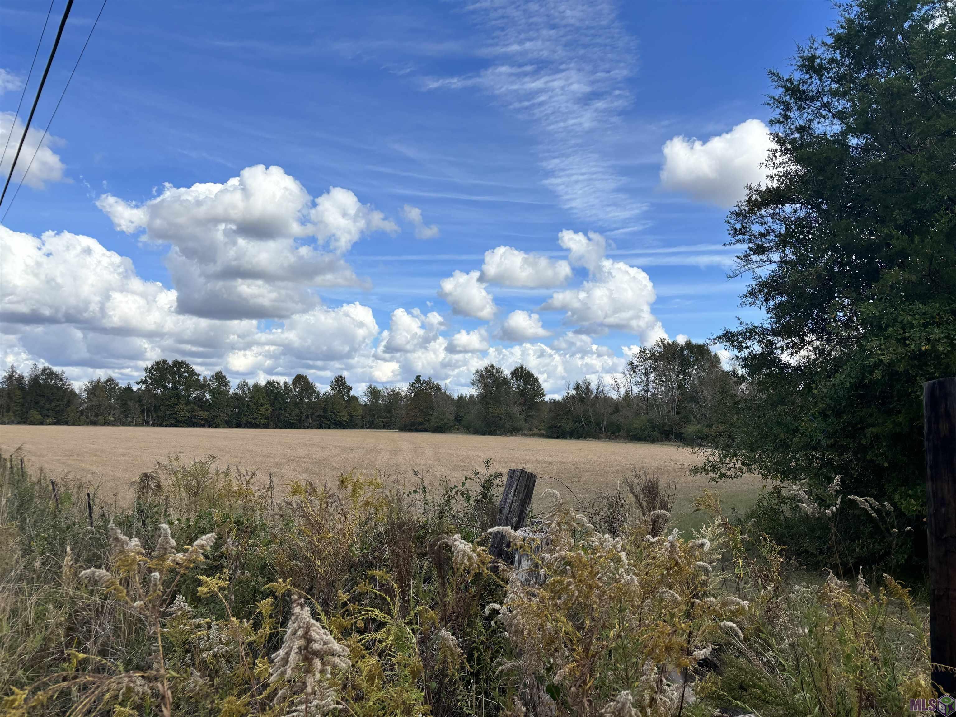 15838 Blackwater Road Central, LA 70791 - Photo 3 of 5