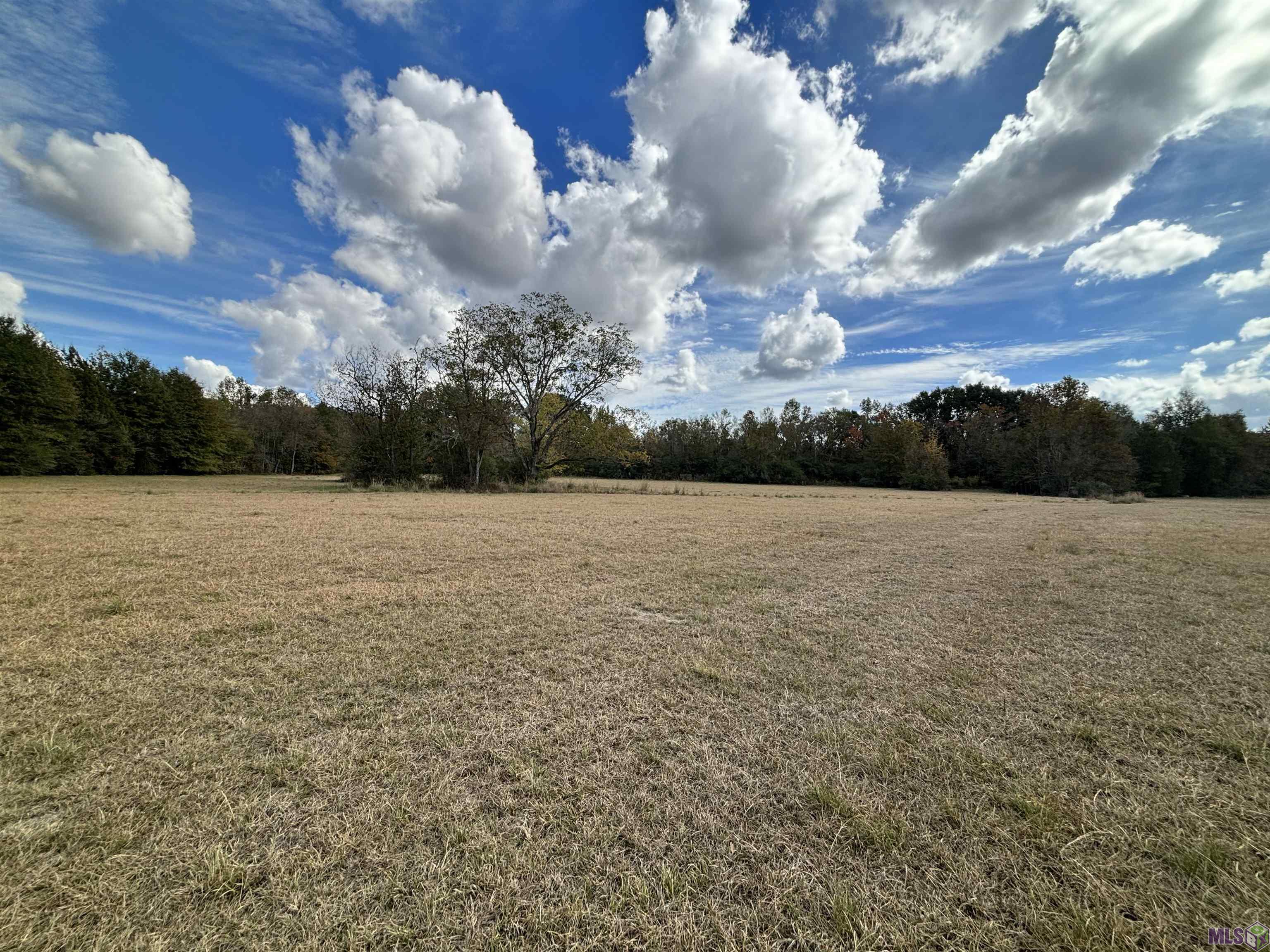 15838 Blackwater Road Central, LA 70791 - Photo 4 of 5