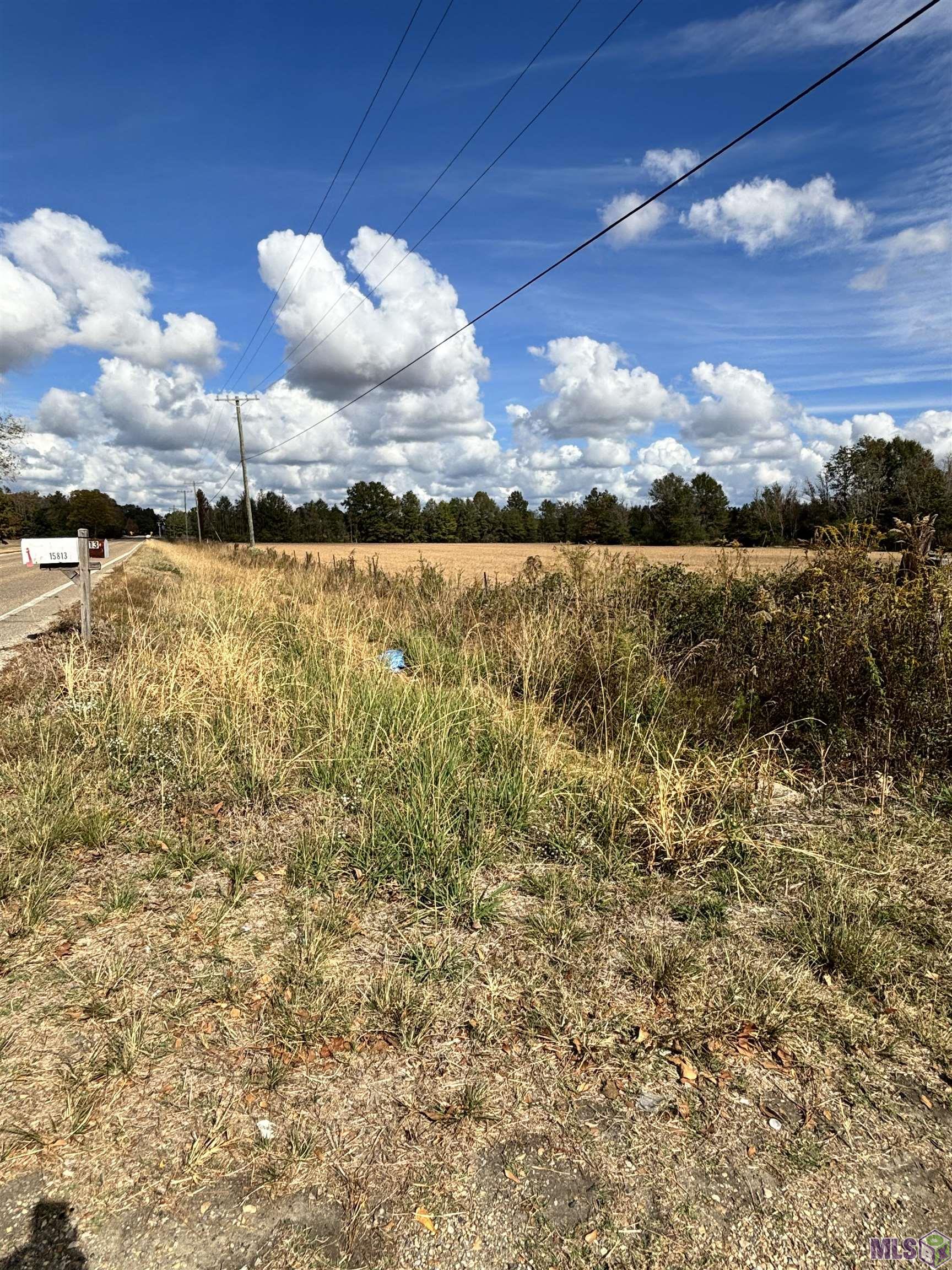 15838 Blackwater Road Central, LA 70791 - Photo 5 of 5