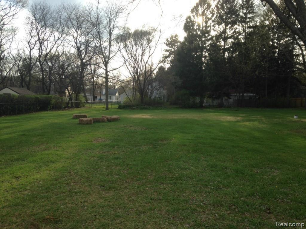 10685 Stark Road Livonia, MI 48150 - Photo 4 of 29 Back Yard