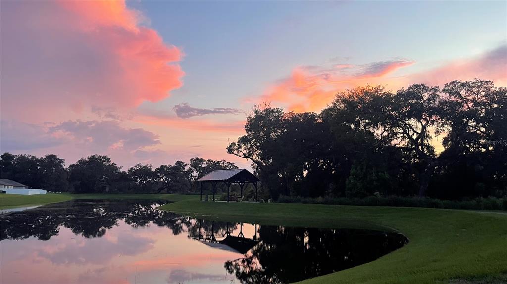 6773 Ripple Pond Loop Zephyrhills, FL 33541 - Photo 23 of 41
