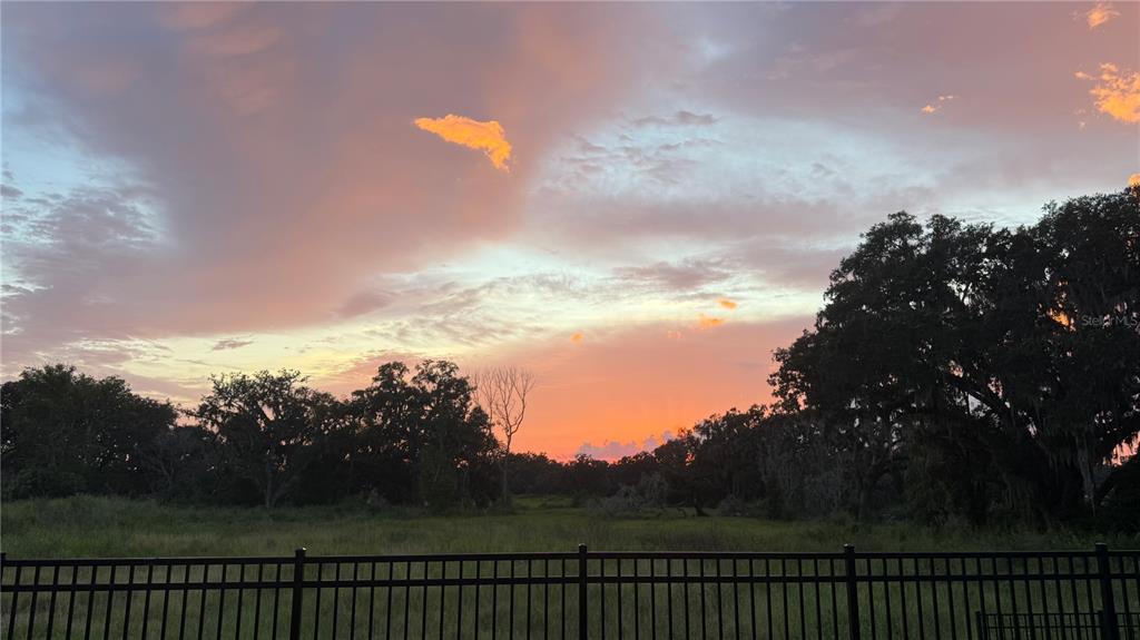 6773 Ripple Pond Loop Zephyrhills, FL 33541 - Photo 24 of 41