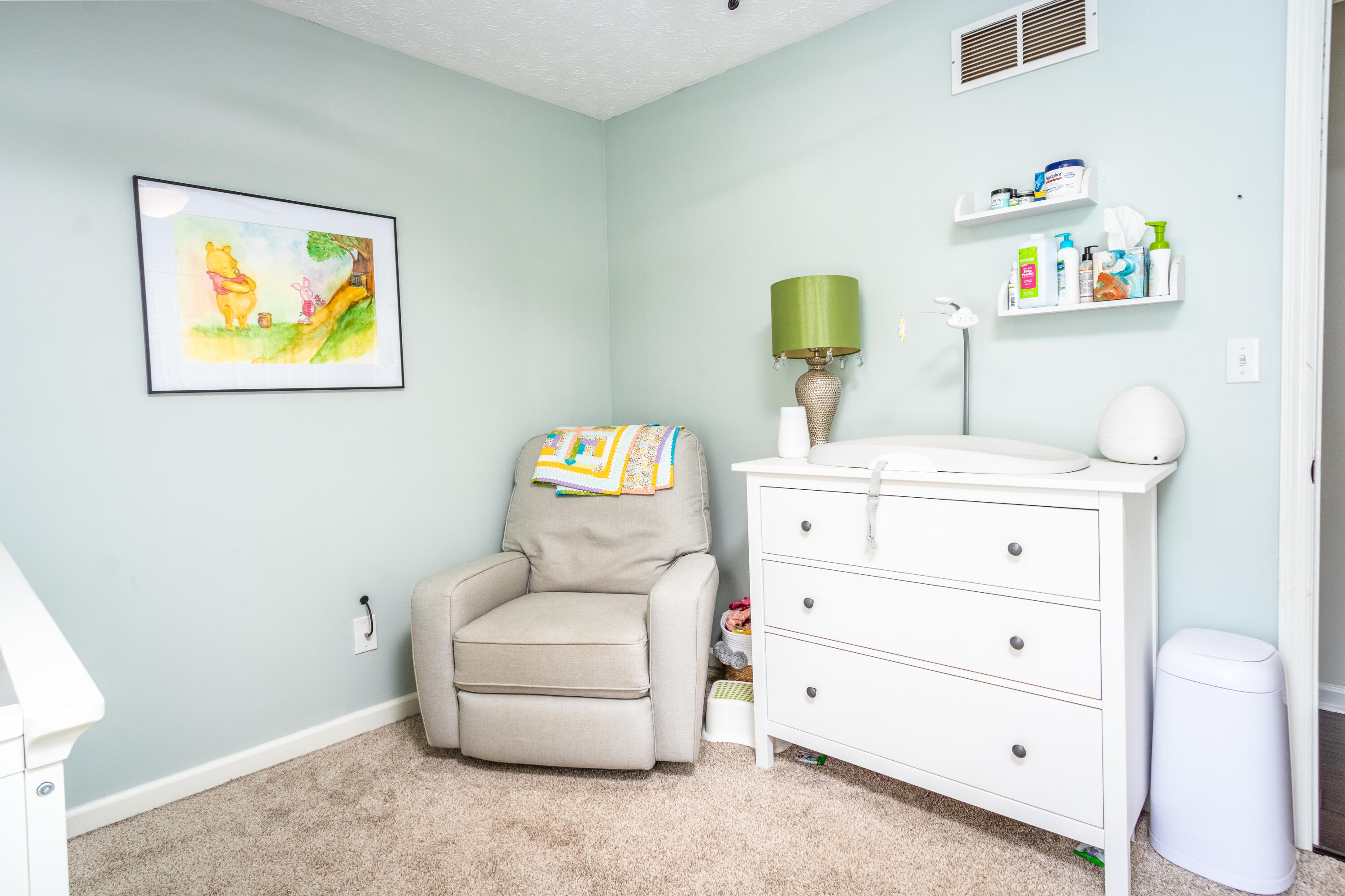 166 Ringo Avenue Frankfort, KY 40601 - Photo 22 of 43 _MG_5768-Edit