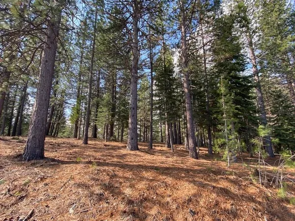 $90,000 | Lot 3 Hidden Meadow Drive, Weed, CA 96094
